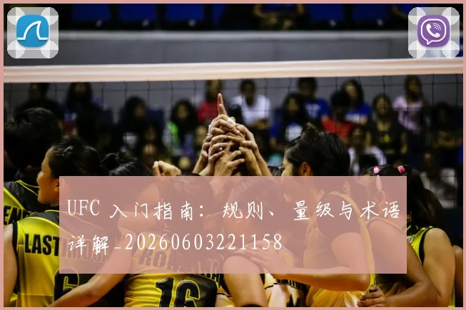 UFC 入门指南:规则、量级与术语详解_20260603221158